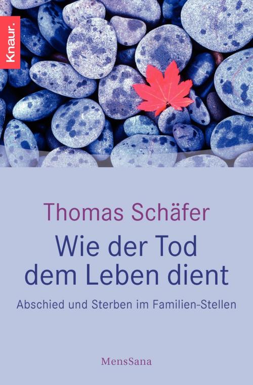 Cover of the book Wie der Tod dem Leben dient by Thomas Schäfer, Knaur MensSana eBook