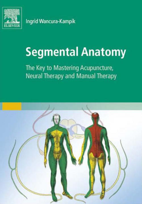 Cover of the book Segmental Anatomy by Ingrid Wancura-Kampik, Elsevier Health Sciences