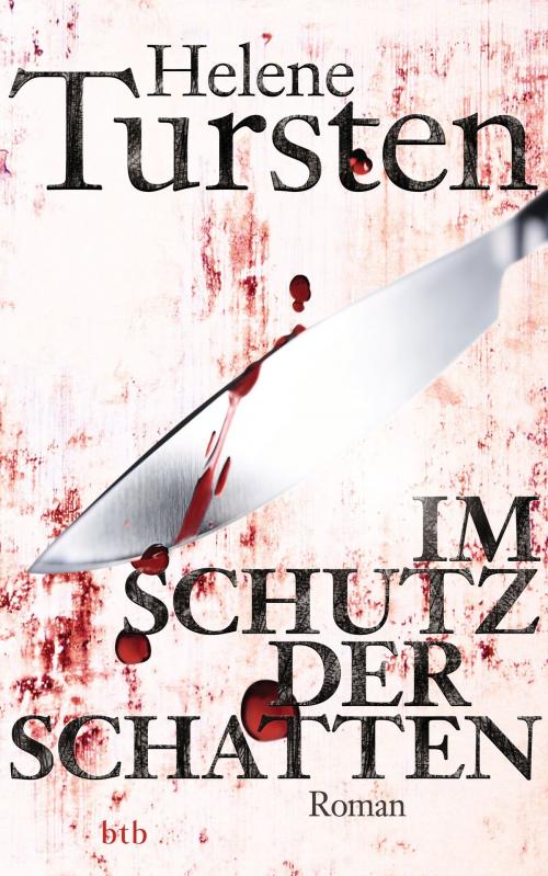 Cover of the book Im Schutz der Schatten by Helene Tursten, btb Verlag