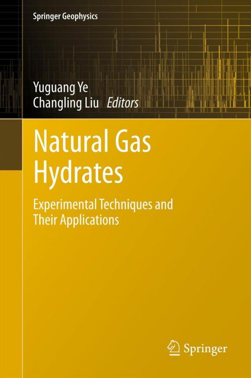 Cover of the book Natural Gas Hydrates by , Springer Berlin Heidelberg