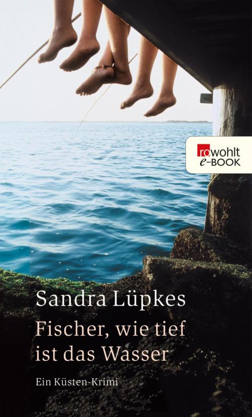 Cover of the book Fischer, wie tief ist das Wasser by Sandra Lüpkes, Rowohlt E-Book