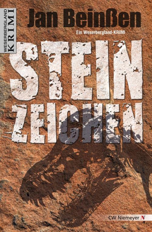 Cover of the book Steinzeichen by Jan Beinßen, CW Niemeyer
