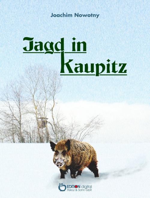 Cover of the book Jagd in Kaupitz by Joachim Nowotny, EDITION digital