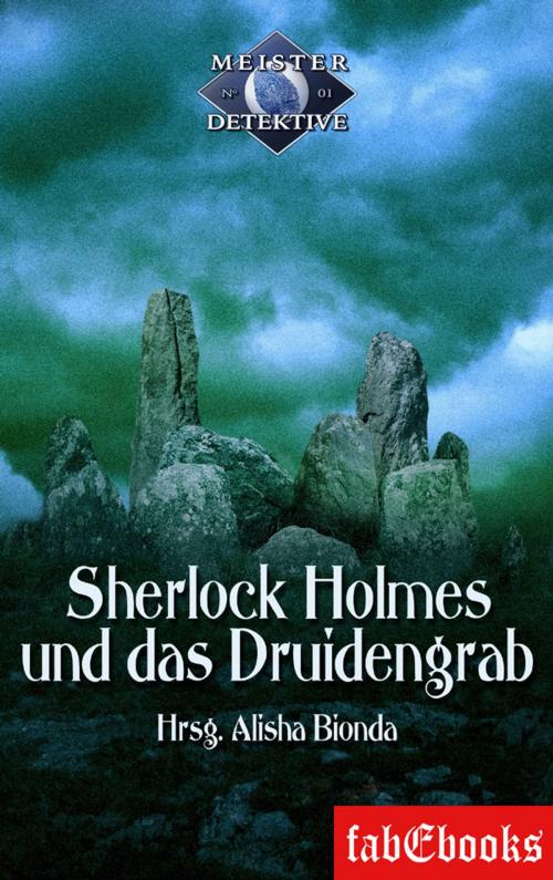 Cover of the book Sherlock Holmes 1: Sherlock Holmes und das Druidengrab by , Fabylon Verlag