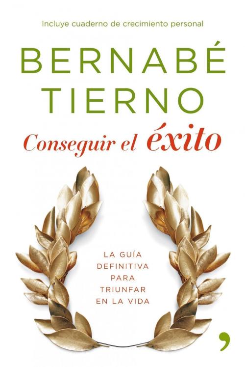 Cover of the book Conseguir el éxito by Bernabé Tierno, Grupo Planeta