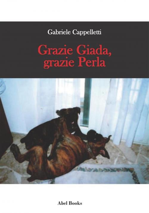 Cover of the book Grazie Giada, grazie Perla by Gabriele Cappelletti, Abel Books
