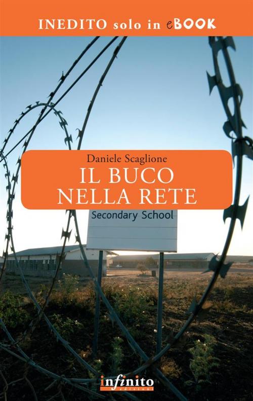 Cover of the book Il buco nella rete by Daniele Scaglione, Infinito edizioni