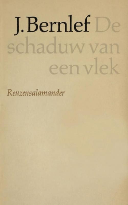Cover of the book Schaduw van een vlek by J. Bernlef, Singel Uitgeverijen