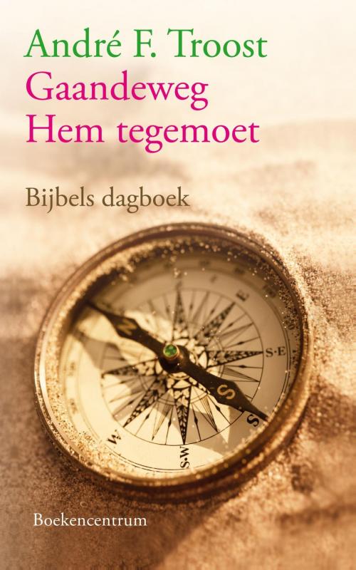 Cover of the book Gaandeweg Hem tegemoet by Andre Troost, VBK Media