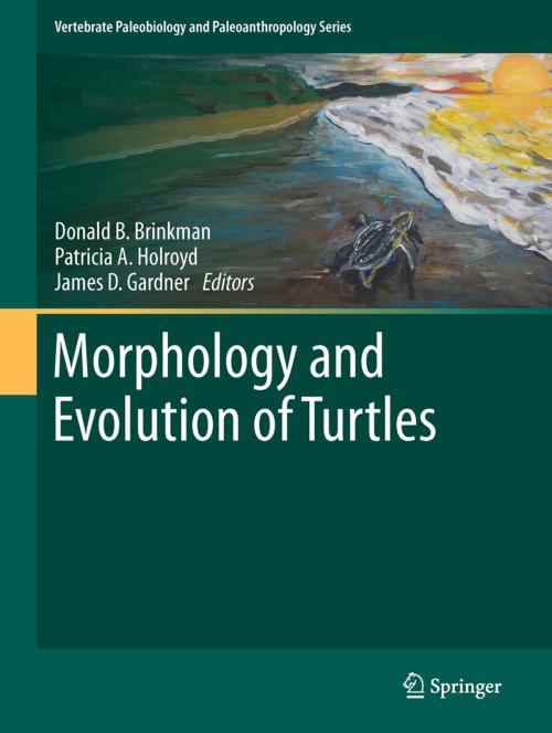 Cover of the book Morphology and Evolution of Turtles by , Springer Netherlands