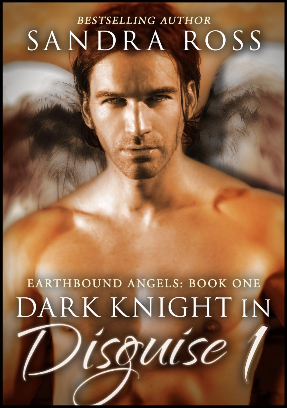 Big bigCover of Dark Knight in Disguise 1: Earthbound Angels Book 1