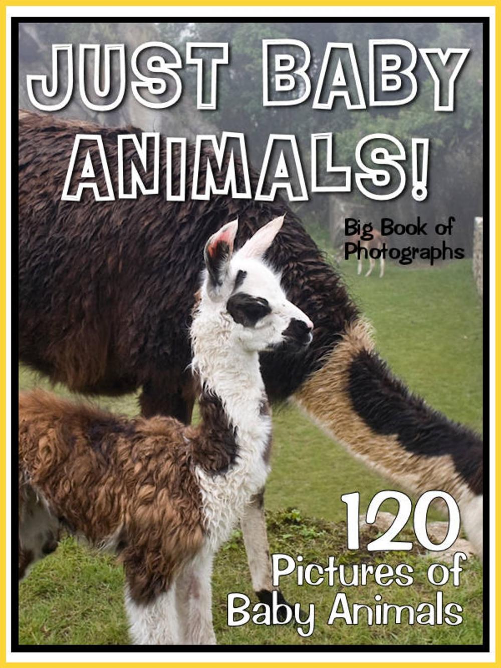 Big bigCover of 120 Pictures: Just Baby Animals!