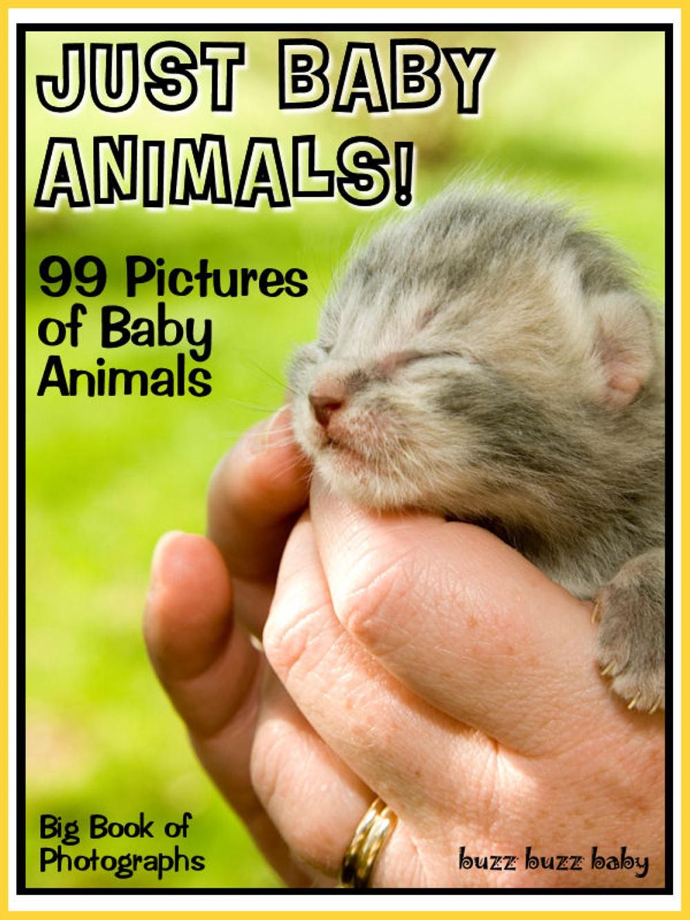 Big bigCover of 99 Pictures: Just Baby Animal Photos! Big Book of Baby Animal Photographs Vol. 1