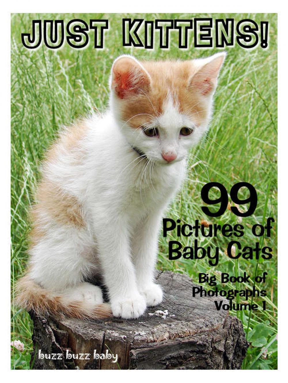 Big bigCover of 99 Pictures: Just Kitten Photos! Big Book of Baby Cat Photographs Vol. 1