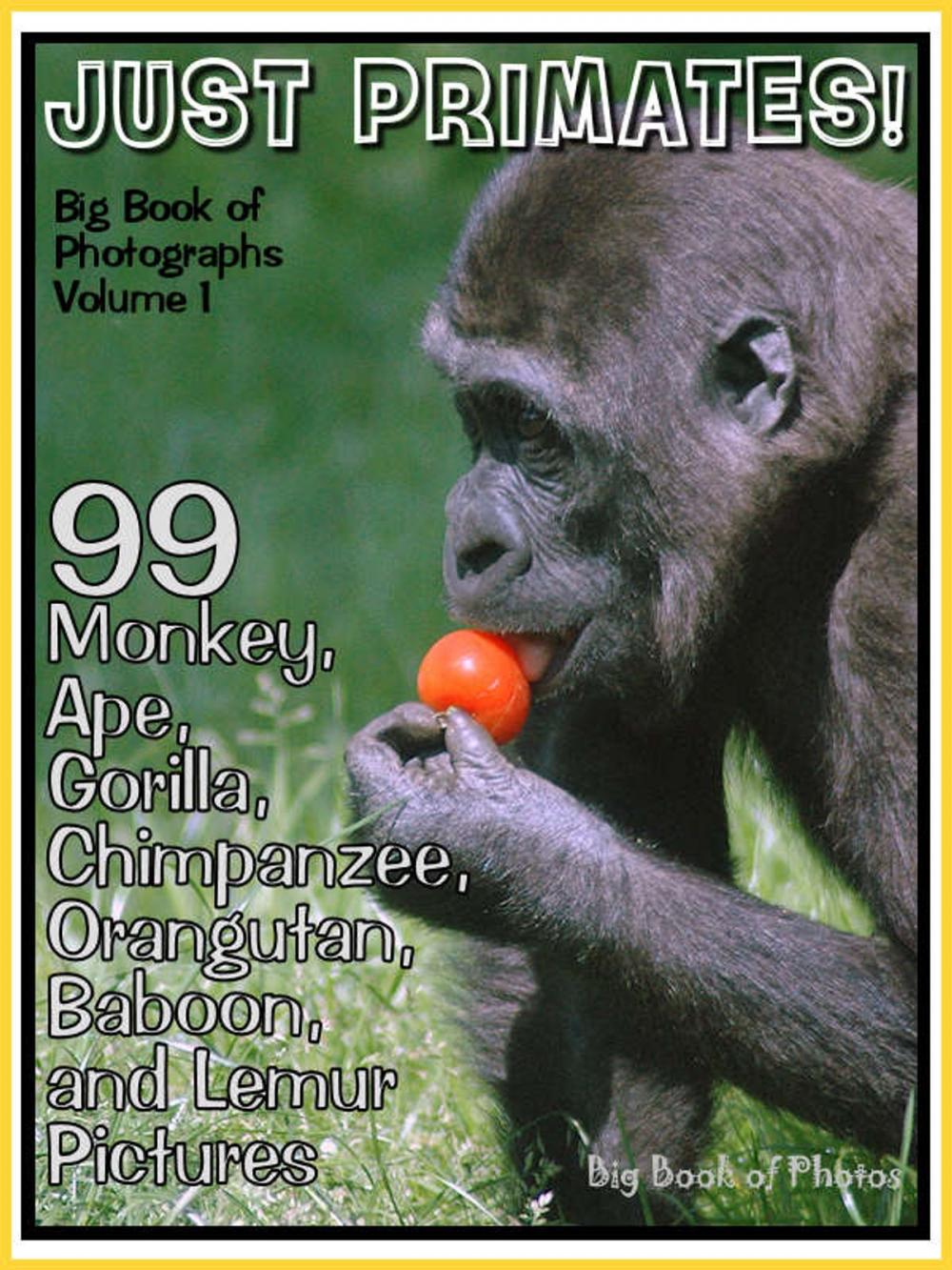 Big bigCover of 99 Pictures: Just Primate Photos! Big Book of Monkey, Ape, Gorilla, Chimpanzee, Orangutan, Baboon, and Lemur Photographs, Vol. 1