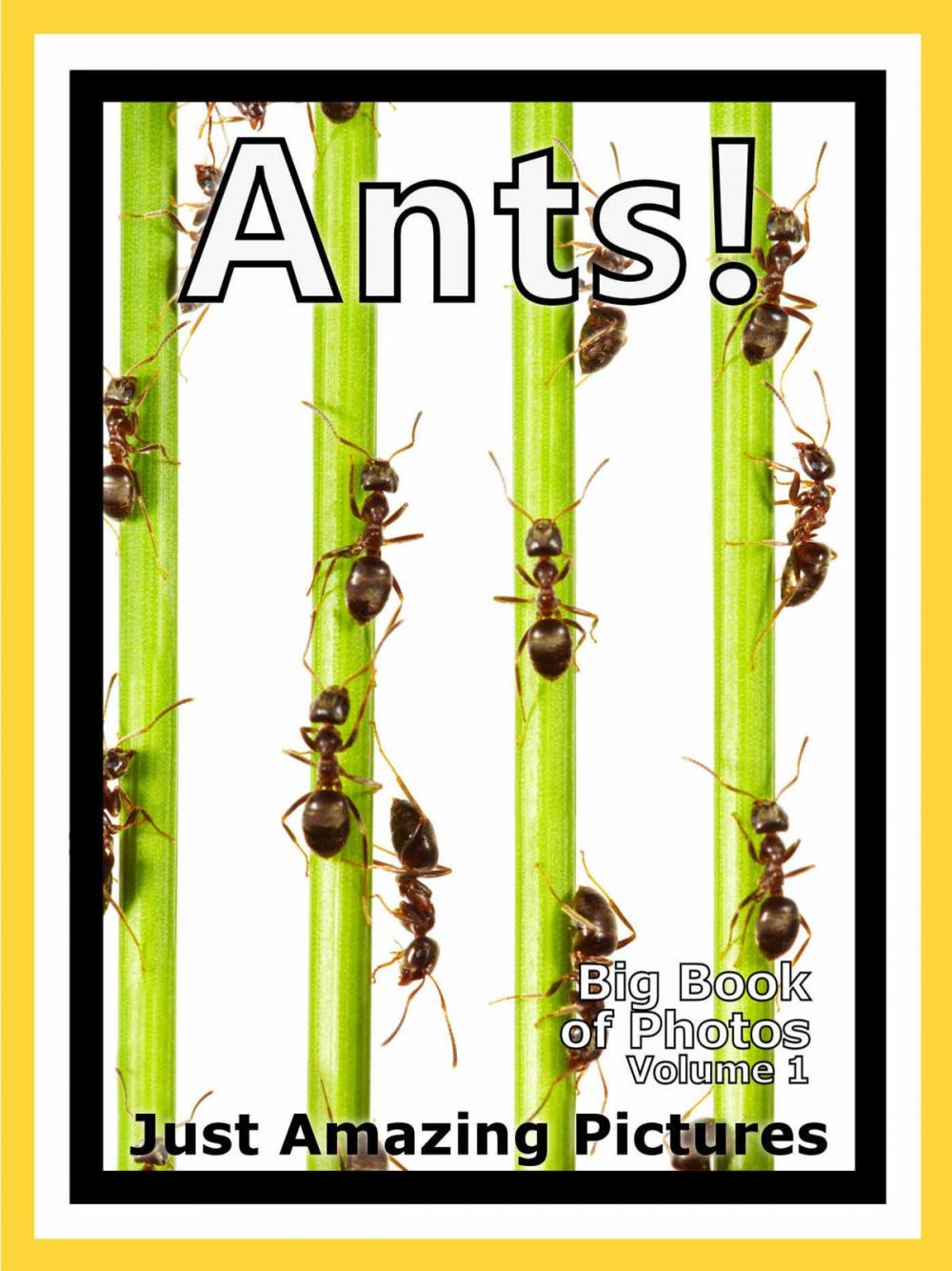 Big bigCover of Just Ant Colony Photos! Big Book of Photographs & Pictures of Ants and Ant Colonies, Vol. 1