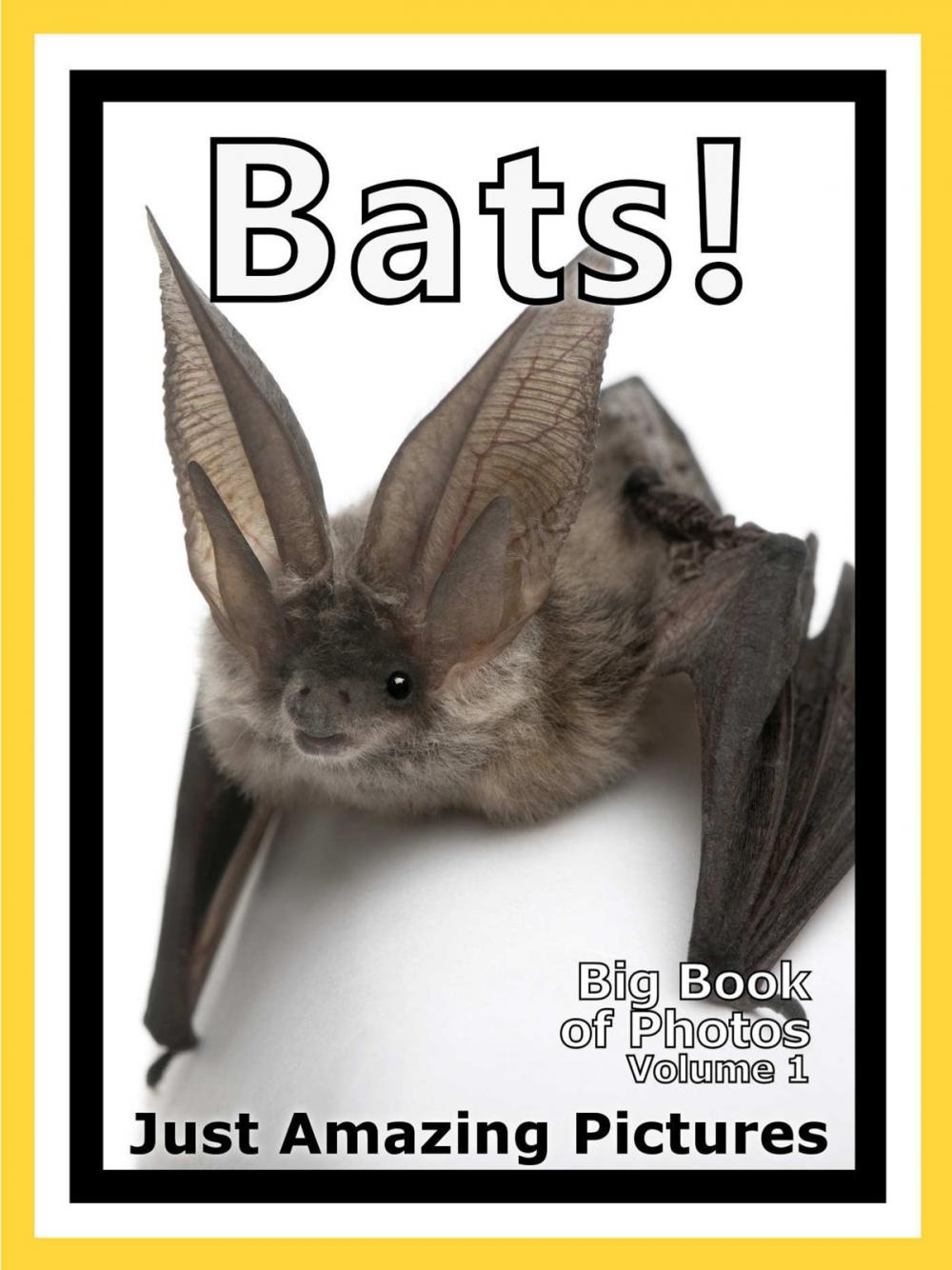 Big bigCover of Just Bat Photos! Big Book of Photographs & Pictures of Bats, Vol. 1