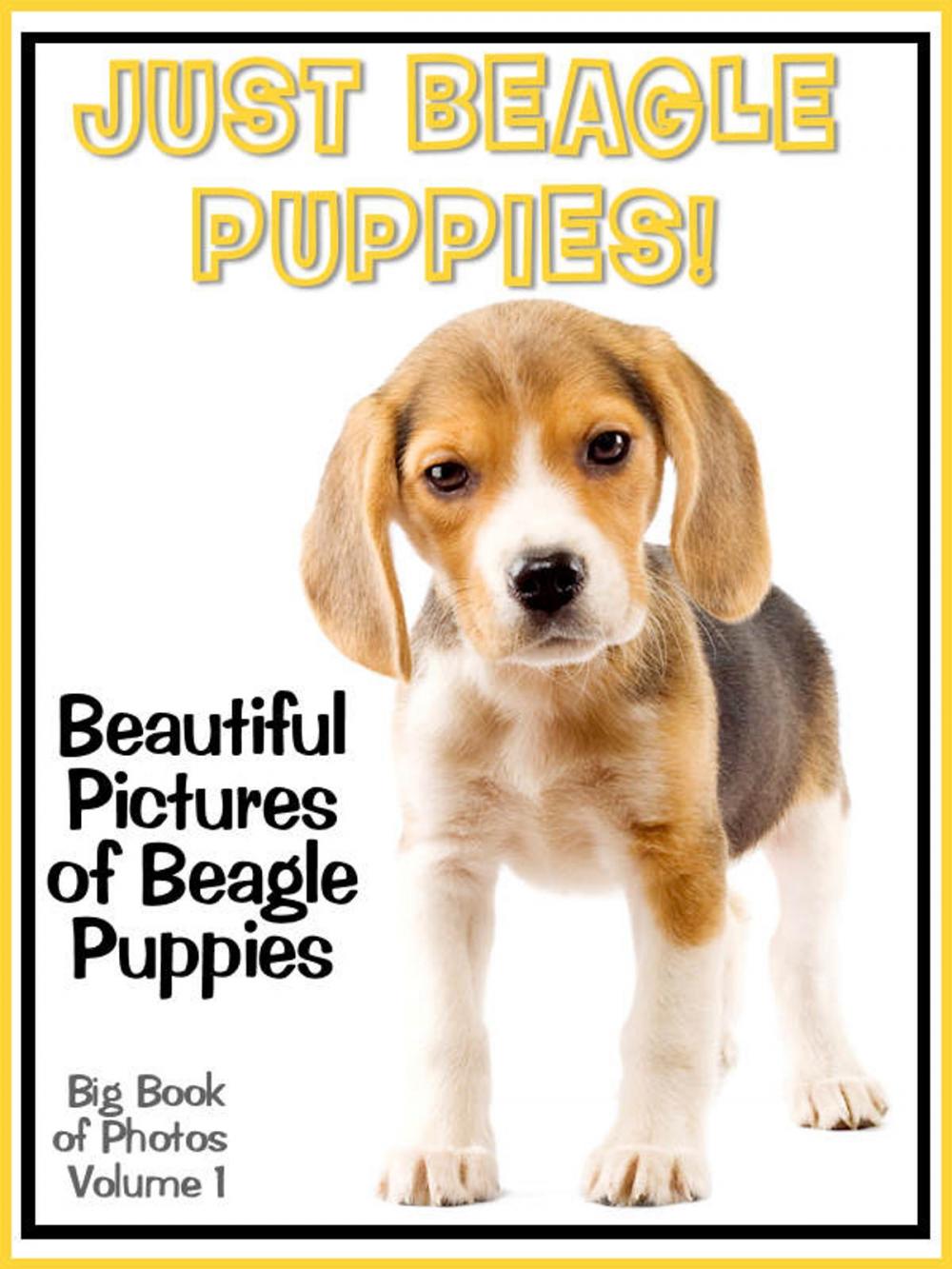 Big bigCover of Just Beagle Puppy Photos! Big Book of Beagle Puppies Photographs & Adorable Pictures, Vol. 1
