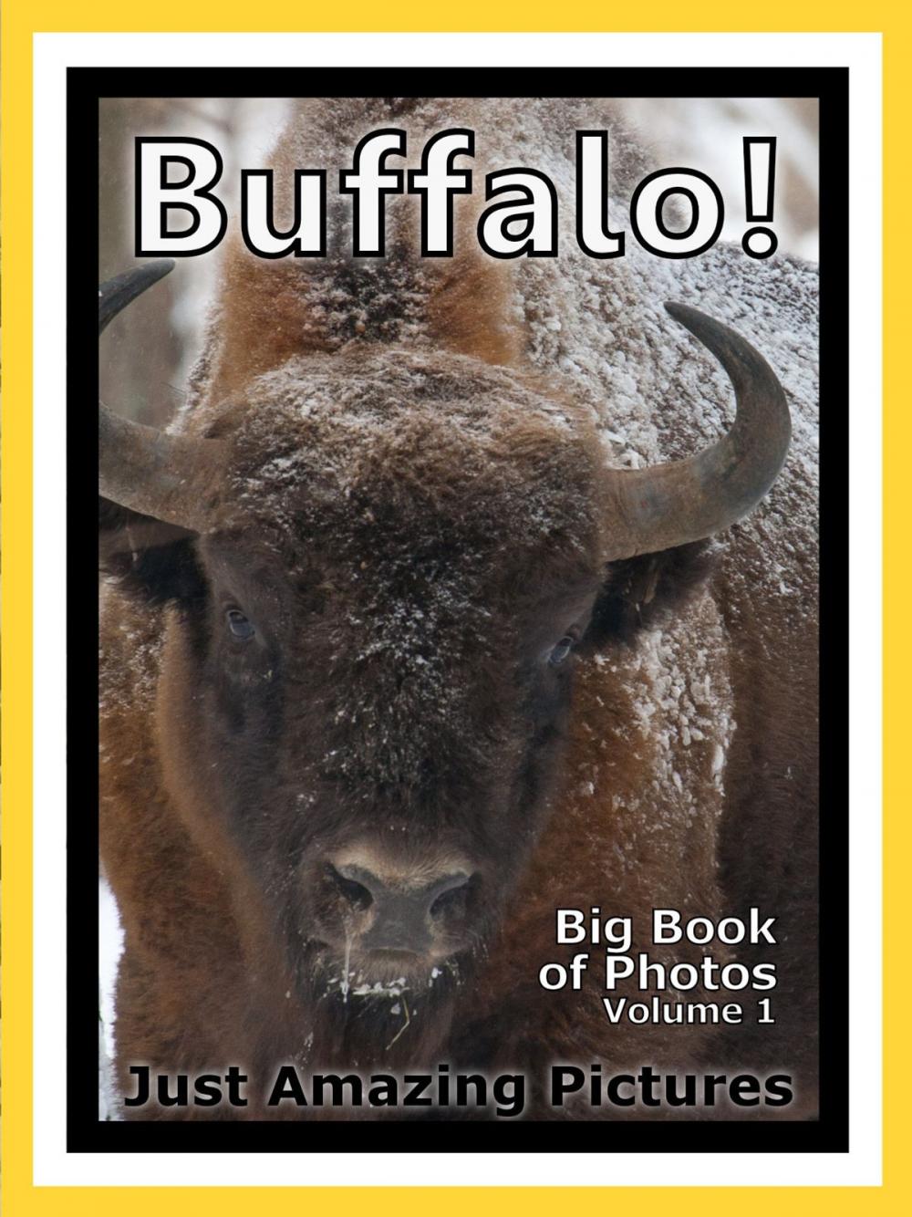 Big bigCover of Just Buffalo Photos! Big Book of Photographs & Pictures of Buffalo and Bison, Vol. 1