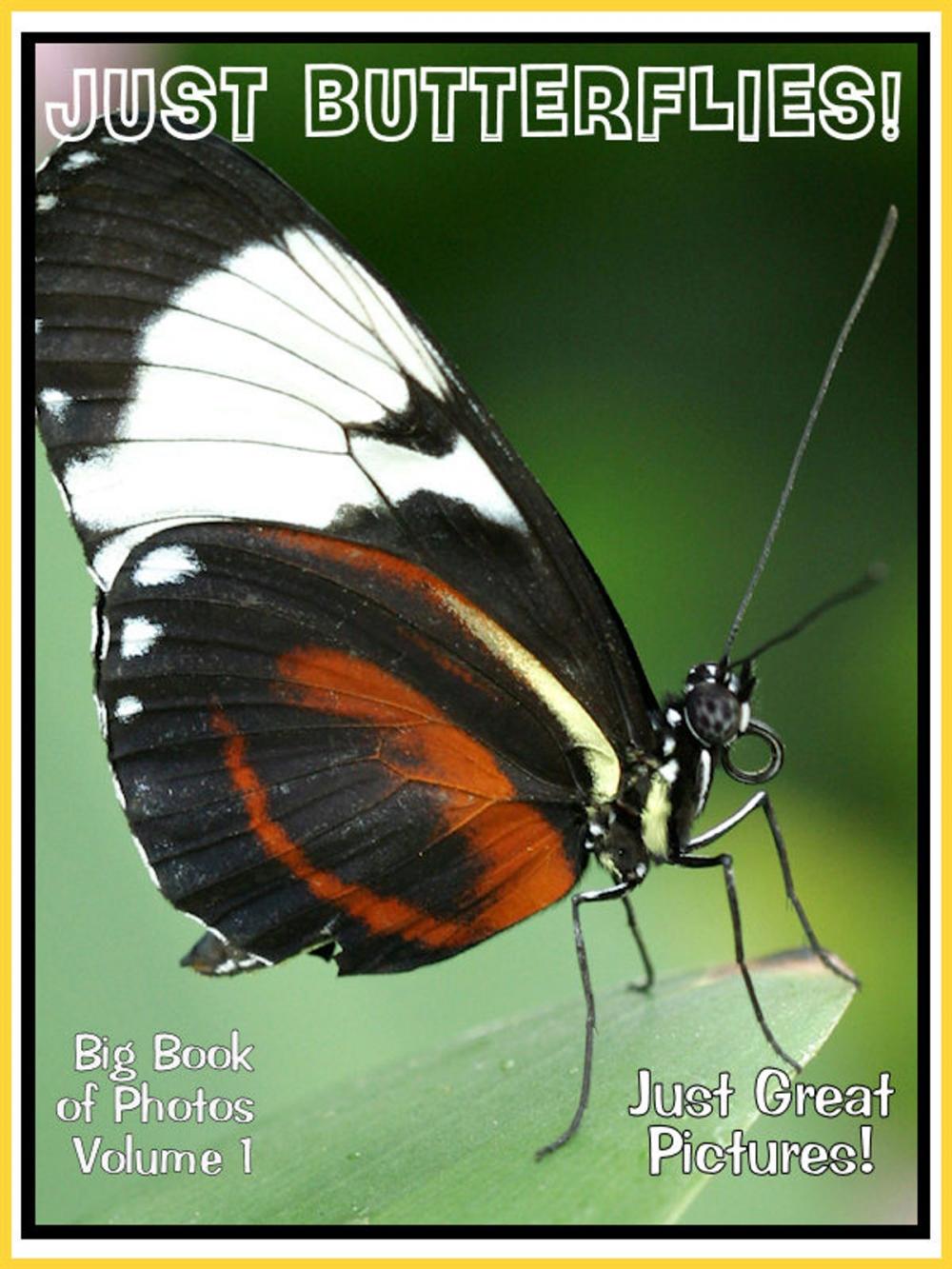 Big bigCover of Just Butterfly Photos! Big Book of Photographs & Pictures of Butterflies, Vol. 1
