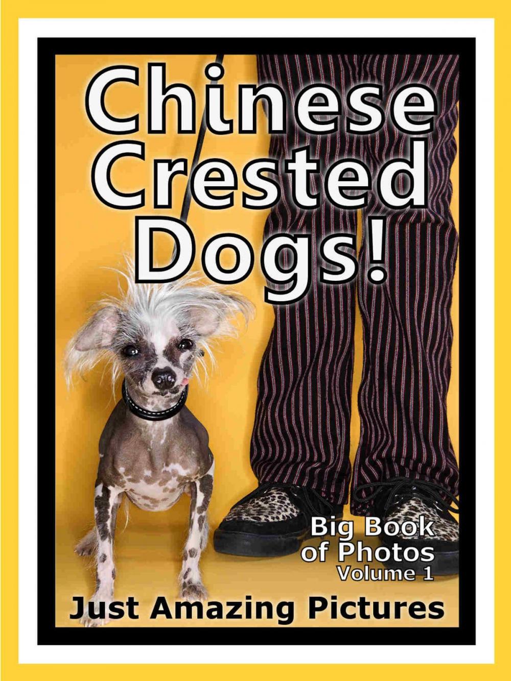 Big bigCover of Just Chinese Crested Dog Photos! Big Book of Photographs & Pictures of Chinese Crested Dogs, Vol. 1