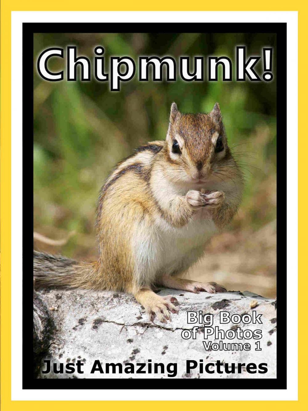 Big bigCover of Just Chipmunk Photos! Big Book of Photographs & Pictures of Chipmunks, Vol. 1