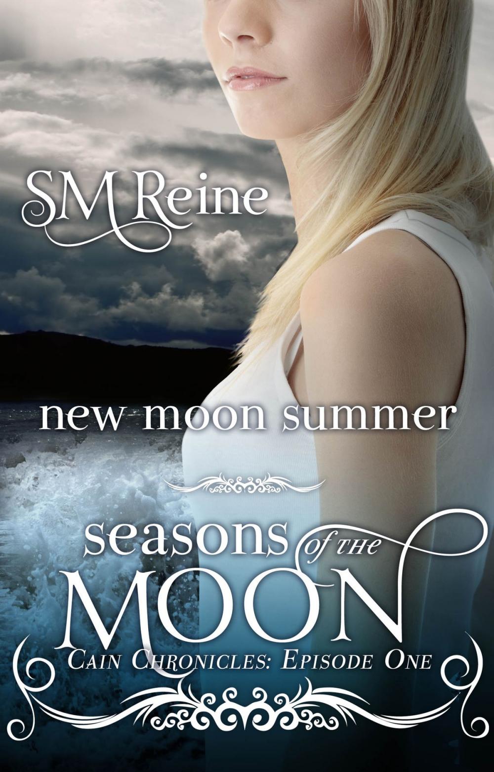 Big bigCover of New Moon Summer