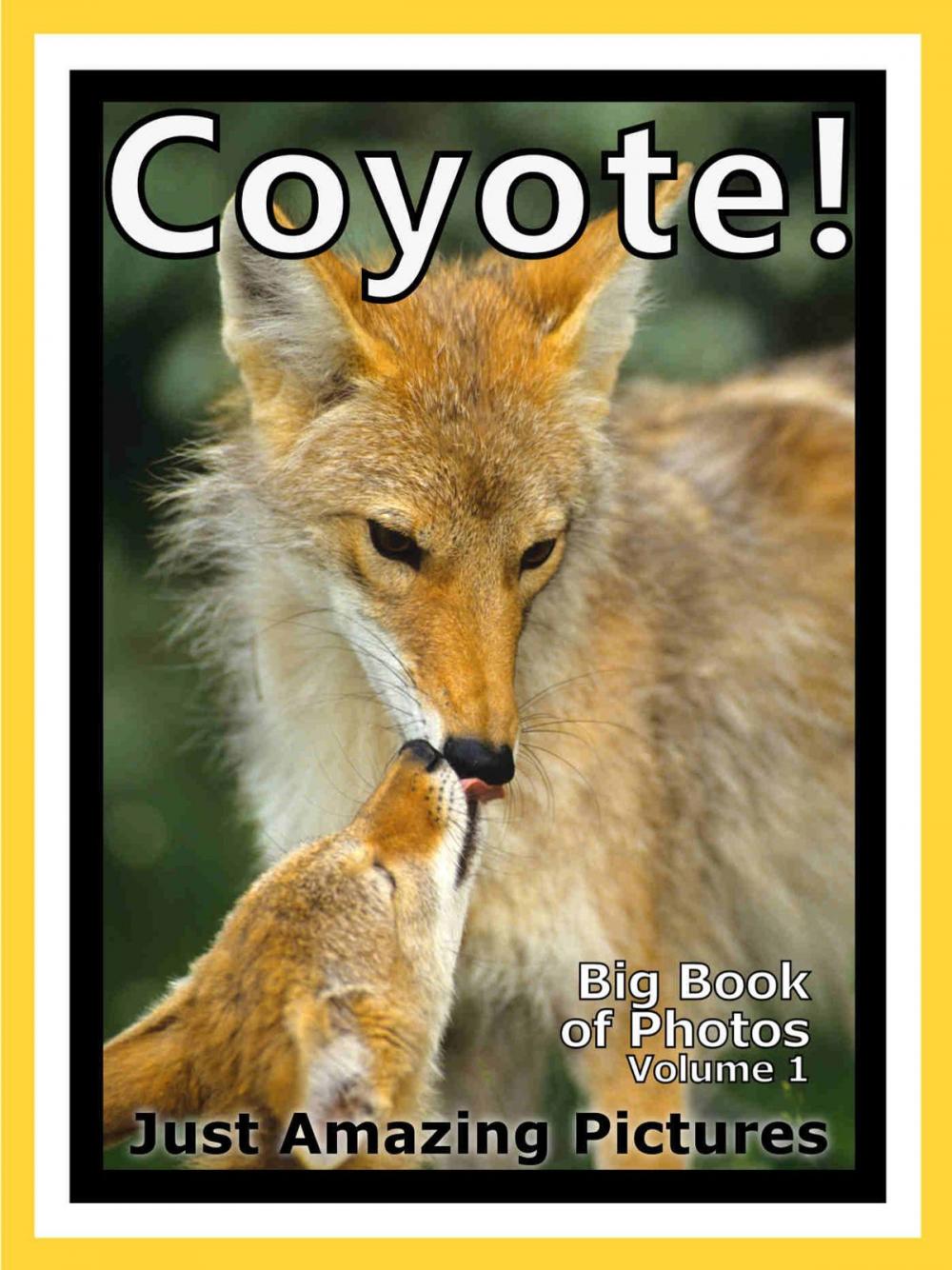 Big bigCover of Just Coyote Photos! Big Book of Photographs & Pictures of Coyotes, Vol. 1