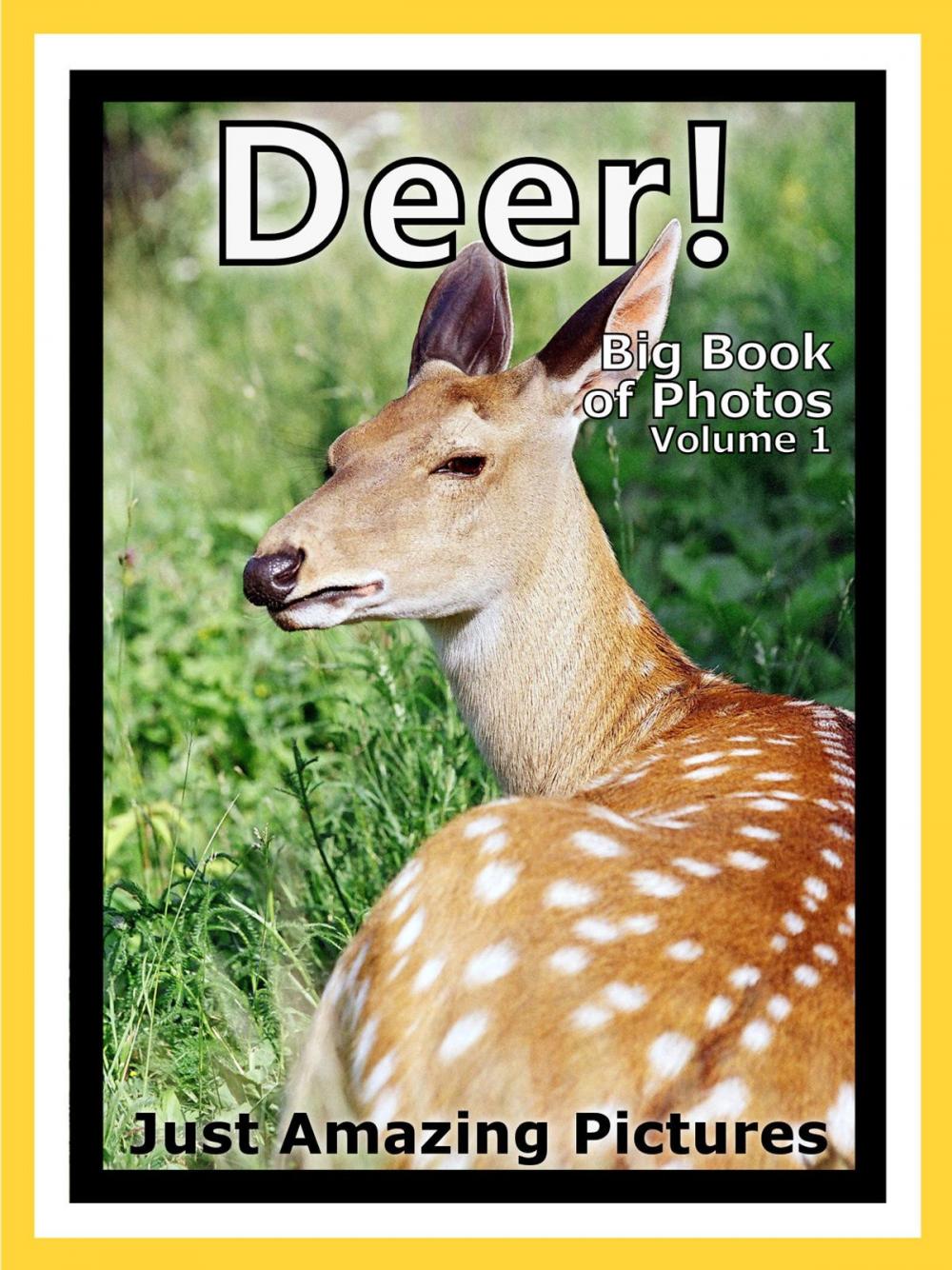 Big bigCover of Just Deer, Fawn, and Buck Photos! Big Book of Photographs & Pictures of Deer, Fawns, and Bucks, Vol. 1