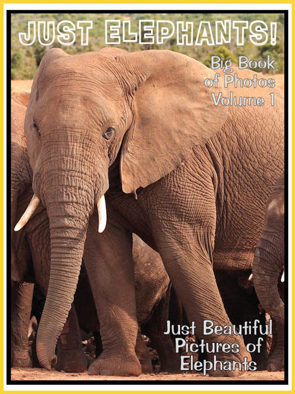 Big bigCover of Just Elephant Photos! Big Book of Elephant Photographs & Pictures Vol. 1
