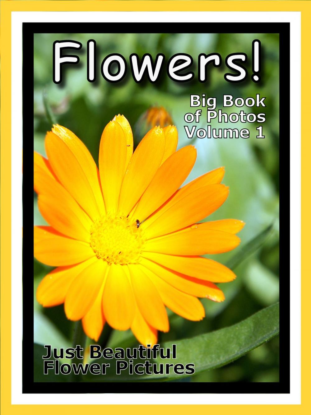 Big bigCover of Just Flower Photos! Big Book of Flowers Photographs & Pictures, Vol. 1
