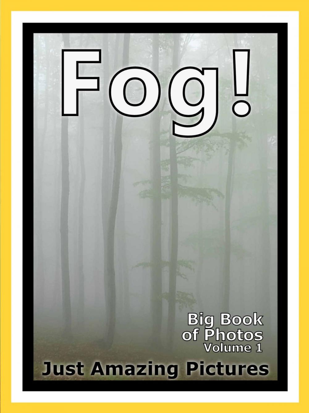 Big bigCover of Just Fog Photos! Big Book of Photographs & Pictures of Foggy Mist, Vol. 1