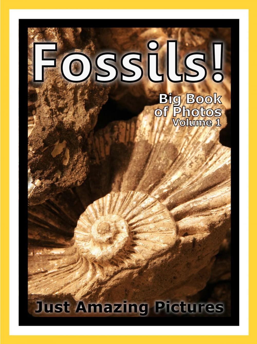 Big bigCover of Just Fossil Photos! Big Book of Photographs & Pictures of Fossils, Vol. 1