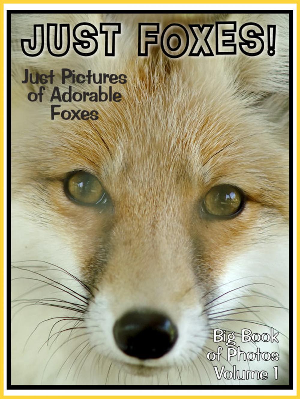 Big bigCover of Just Fox Photos! Big Book of Fox Photographs & Pictures, Vol. 1