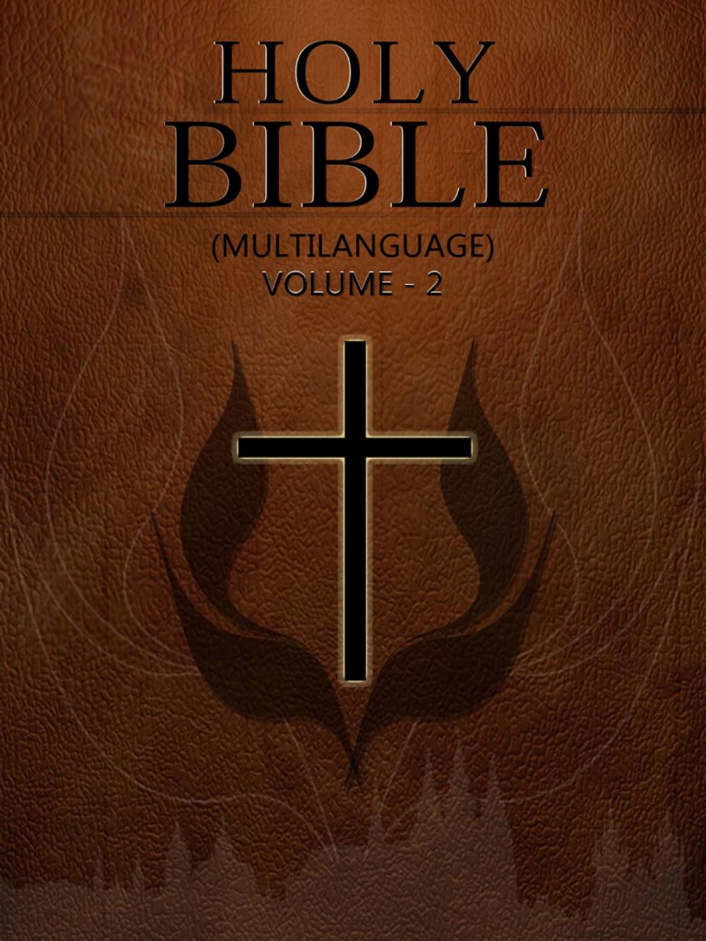 Big bigCover of Holy Bible (Multilanguage) Volume 2