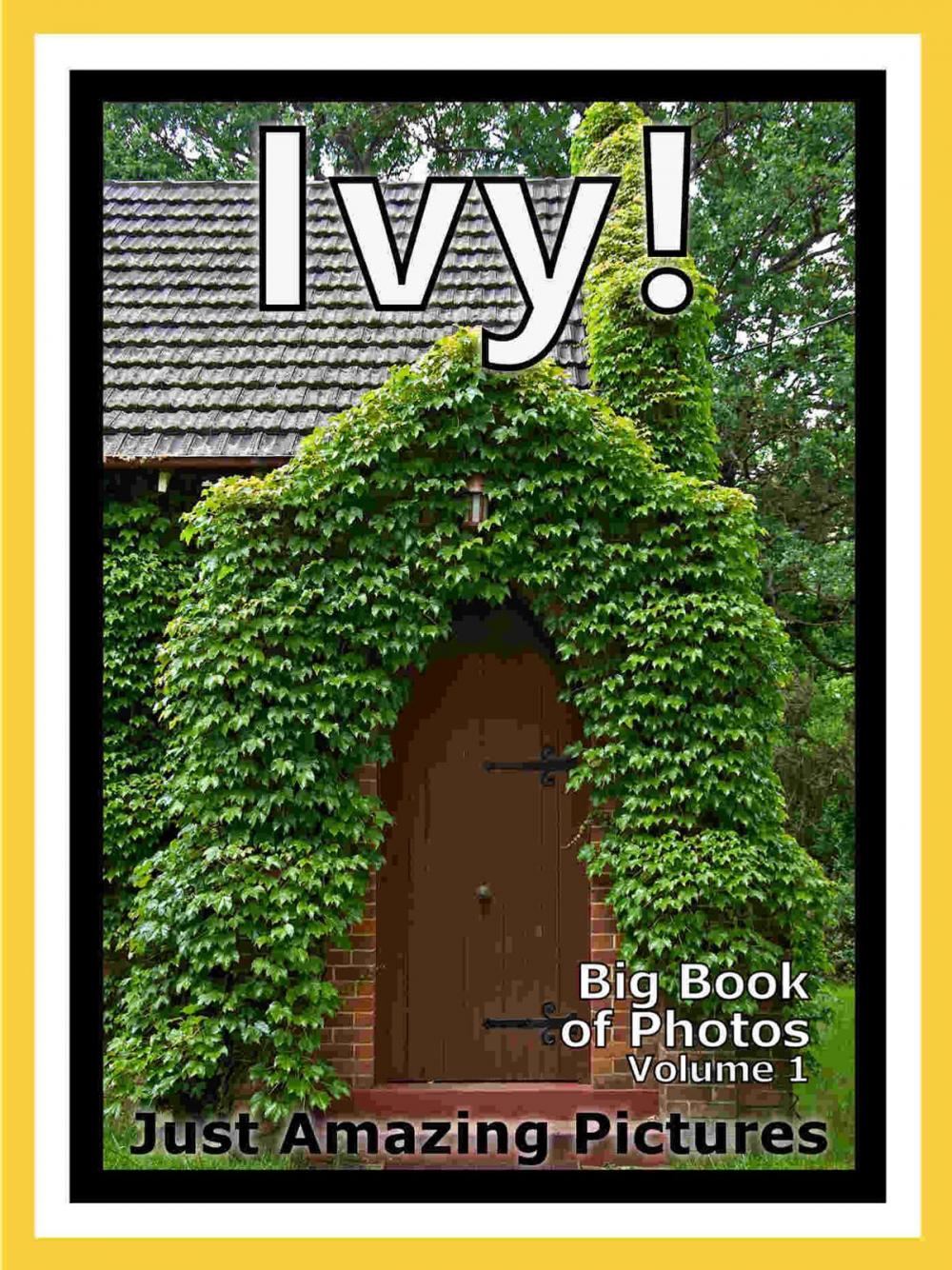 Big bigCover of Just Ivy Plant Photos! Big Book of Photographs & Pictures of Ivy Plants, Vol. 1