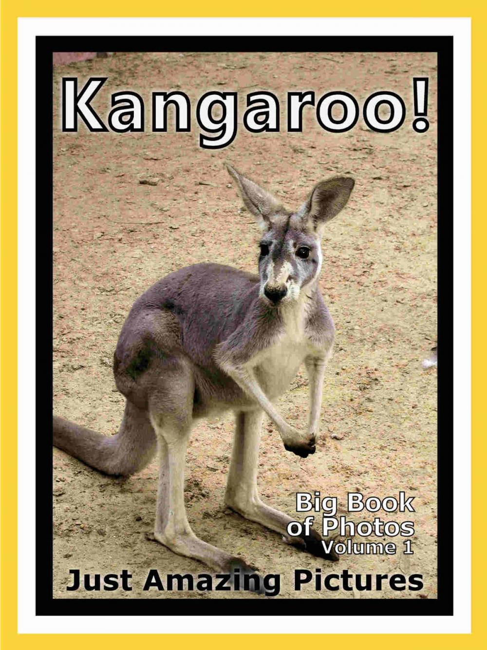 Big bigCover of Just Kangaroo Photos! Big Book of Photographs & Pictures of Kangaroos, Vol. 1
