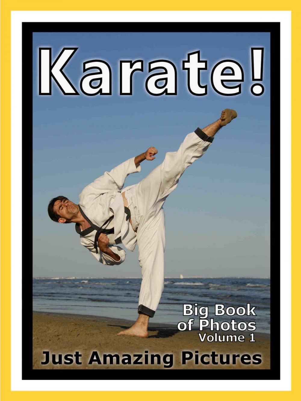 Big bigCover of Just Karate Sport Photos! Big Book of Photographs & Pictures of Sports Karate Martial Arts, Vol. 1