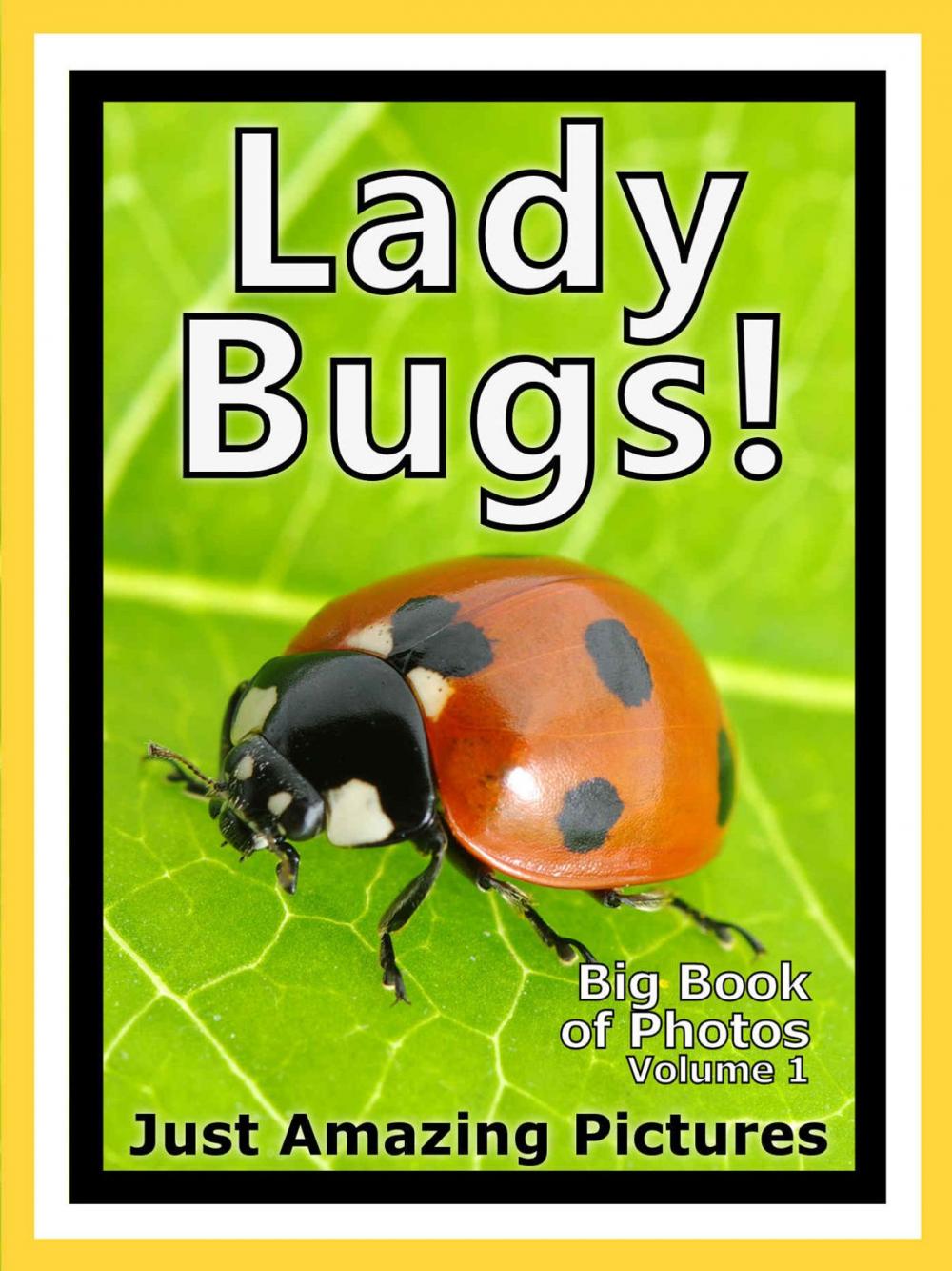 Big bigCover of Just Ladybug Photos! Big Book of Lady Bug Photographs & Bugs Pictures of Ladybugs, Vol. 1
