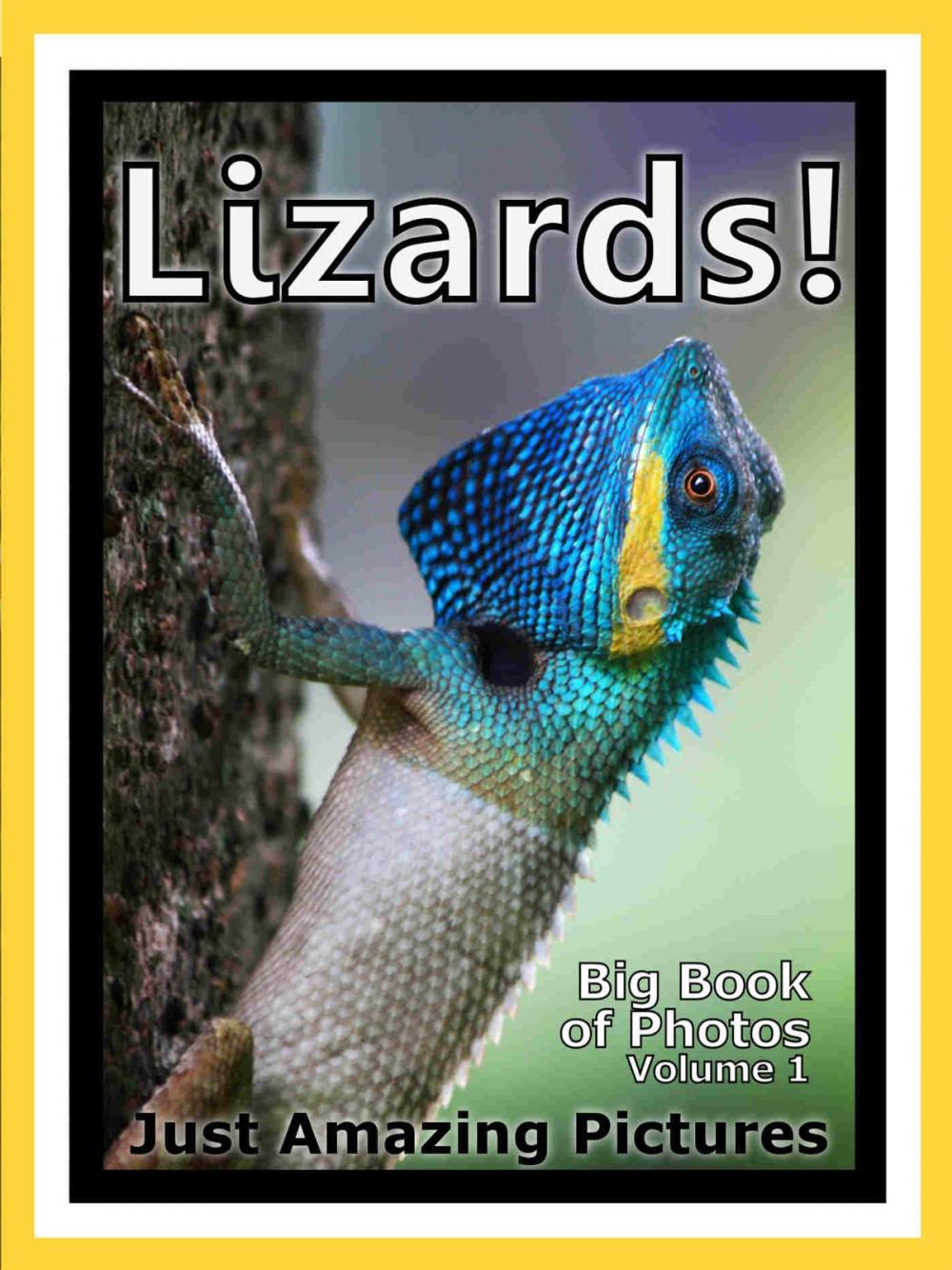 Big bigCover of Just Lizard Reptile Photos! Big Book of Photographs & Pictures of Lizards Reptiles, Vol. 1