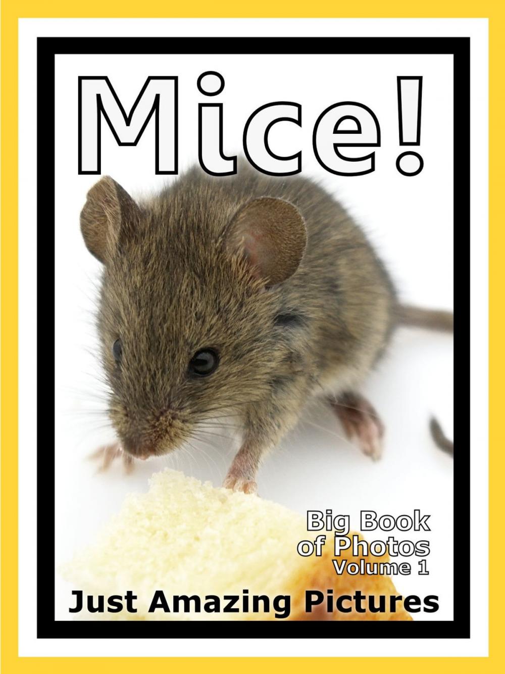 Big bigCover of Just Mouse Photos! Big Book of Photographs & Pictures of Mice, Vol. 1