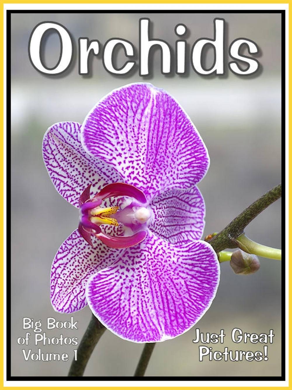 Big bigCover of Just Orchid Photos! Big Book of Photographs & Pictures of Orchids, Vol. 1