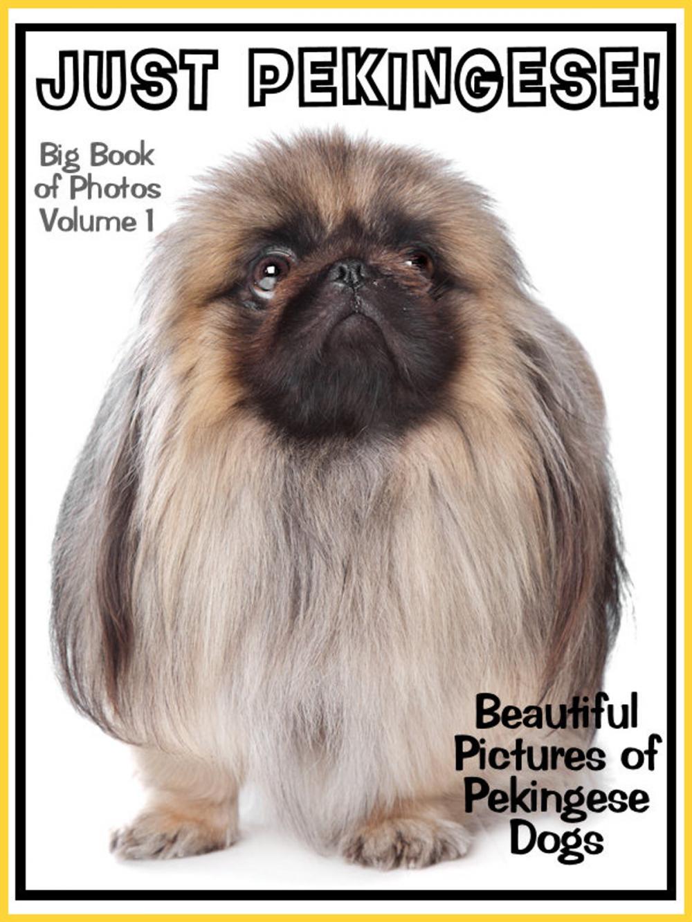 Big bigCover of Just Pekingese Photos! Big Book of Pekingese Dog Breed Photographs & Adorable Pictures, Vol. 1
