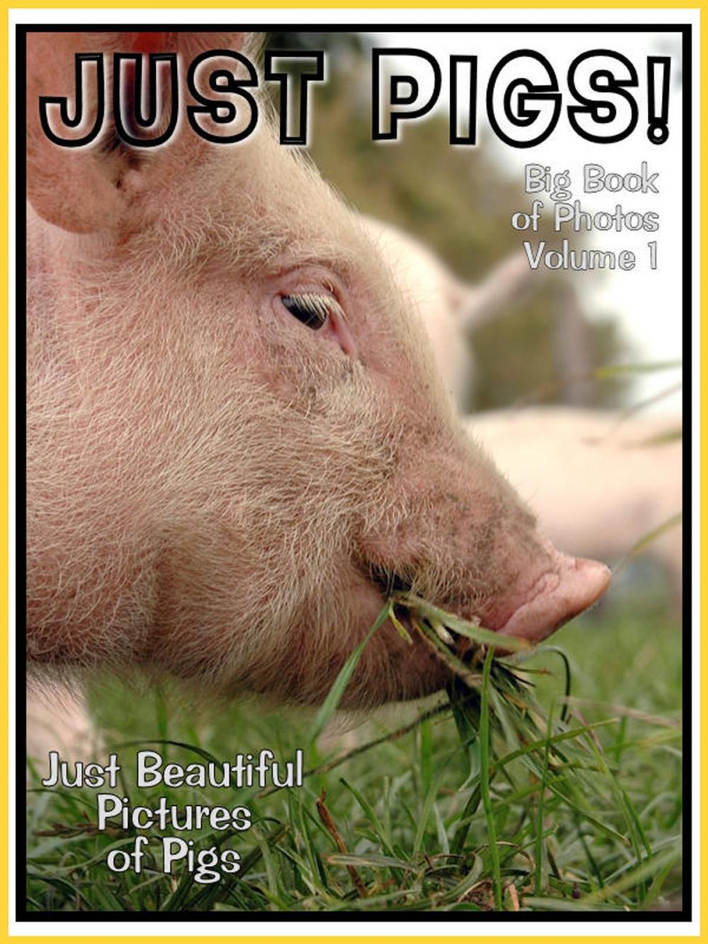 Big bigCover of Just Pig Photos! Big Book of Pigs Photographs & Pictures Vol. 1