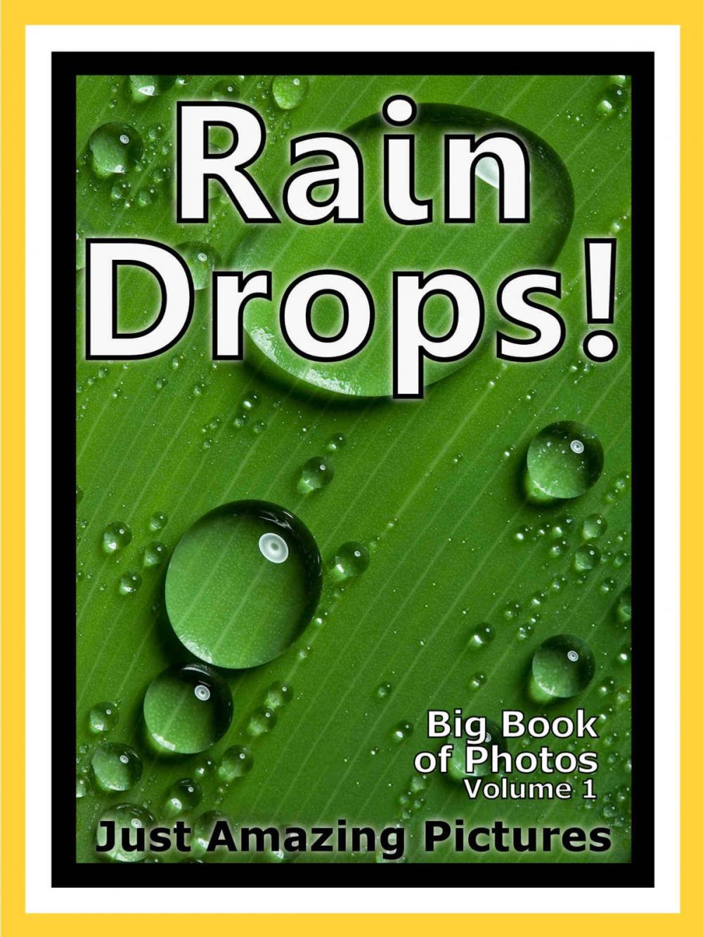 Big bigCover of Just Rain Drop Photos! Big Book of Photographs & Pictures of Water Rain Drops, Vol. 1