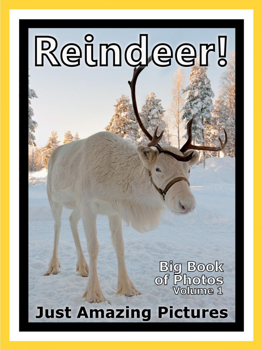 Big bigCover of Just Reindeer Photos! Big Book of Photographs & Pictures of Santa Claus Christmas Reindeer, Vol. 1