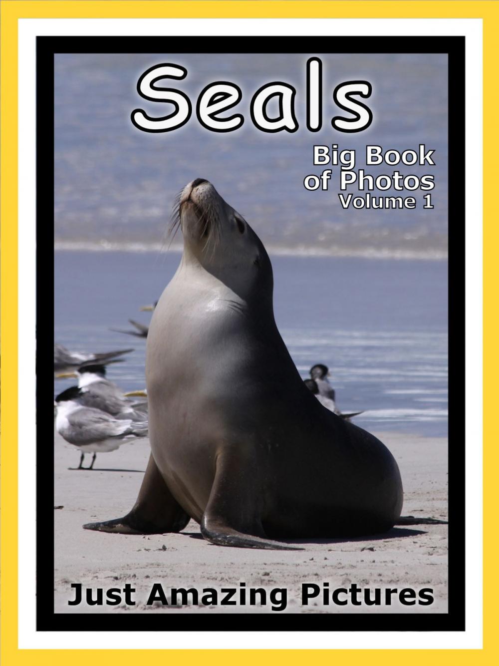 Big bigCover of Just Seal Photos! Big Book of Photographs & Pictures of Seals, Vol. 1