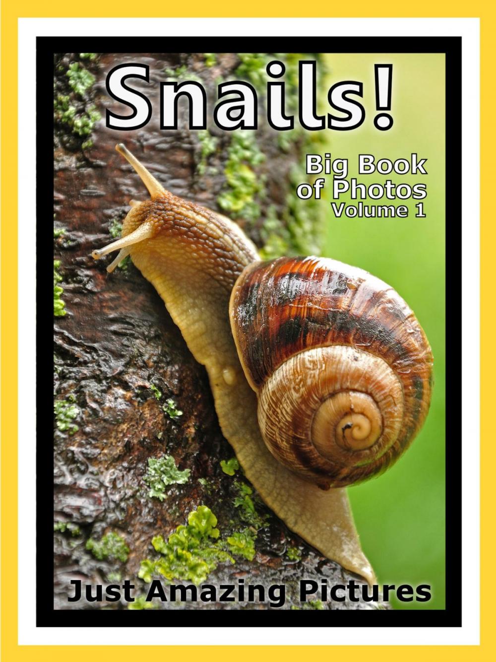 Big bigCover of Just Snail Photos! Big Book of Photographs & Pictures of Snails, Vol. 1