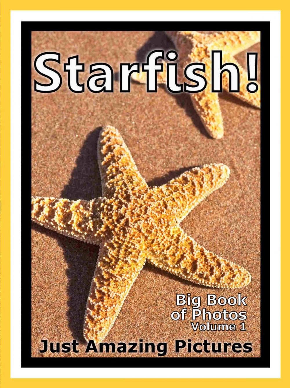 Big bigCover of Just Starfish Photos! Big Book of Photographs & Pictures of Under Water Ocean Star Fish, Vol. 1