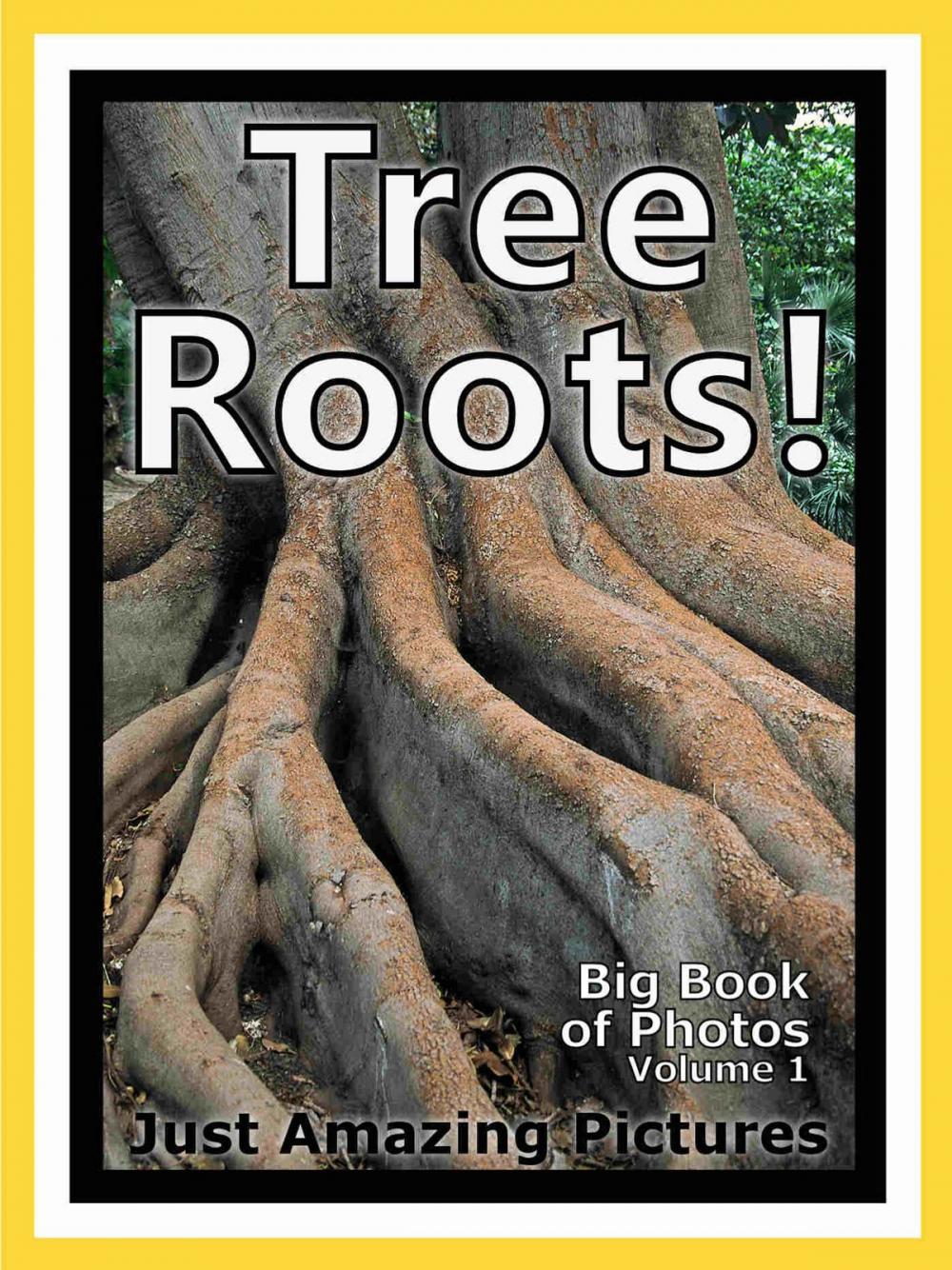 Big bigCover of Just Tree Root Photos! Big Book of Photographs & Pictures of Tree Roots, Vol. 1